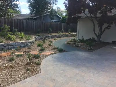 Jean Fogg Landscape project 38