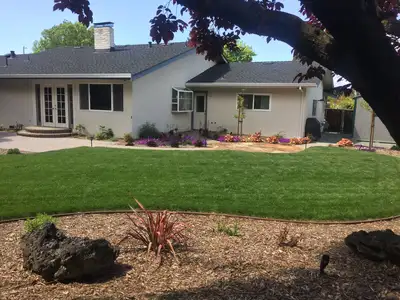 Jean Fogg Landscape project 37