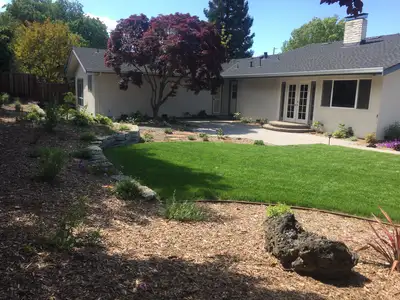 Jean Fogg Landscape project 36