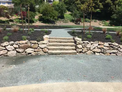 Jean Fogg Landscape project 32