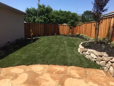 Jean Fogg Landscape project 30