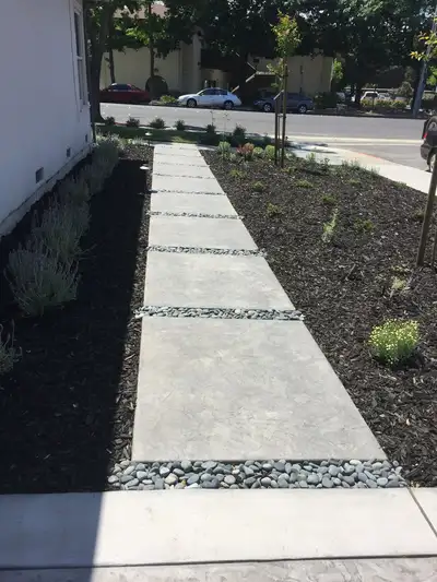 Jean Fogg Landscape project 29