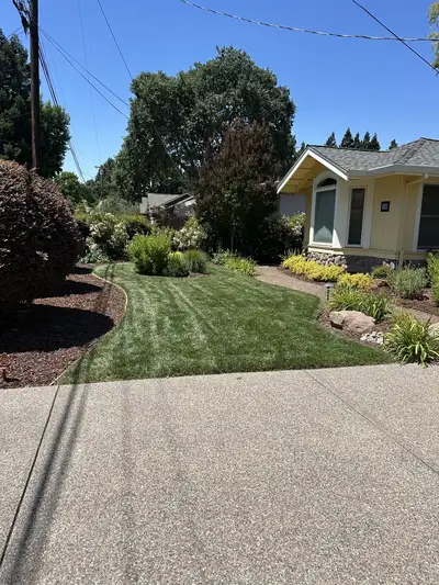 Jean Fogg Landscape project 26