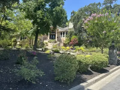 Jean Fogg Landscape project 24