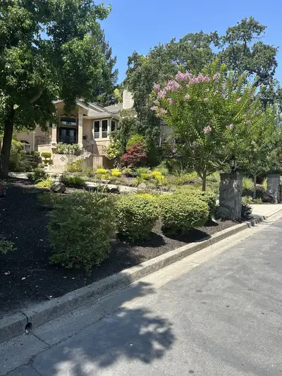 Jean Fogg Landscape project 23