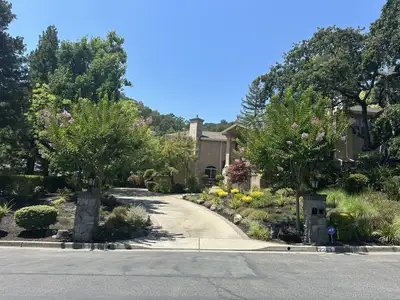 Jean Fogg Landscape project 22