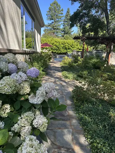 Jean Fogg Landscape project 21