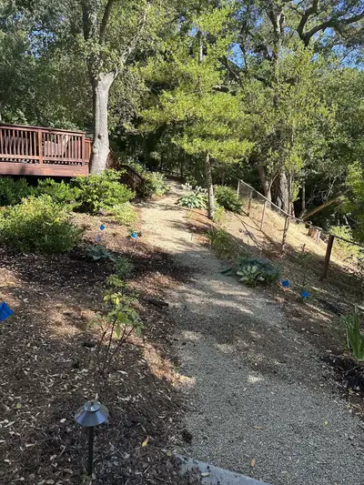 Jean Fogg Landscape project 20