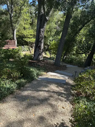 Jean Fogg Landscape project 19