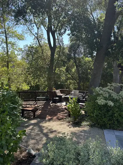 Jean Fogg Landscape project 16