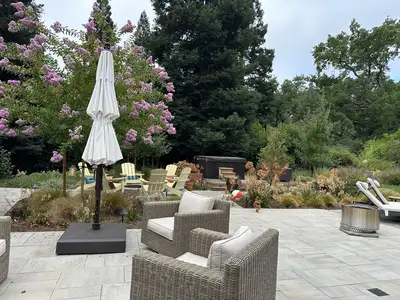 Jean Fogg Landscape project 4