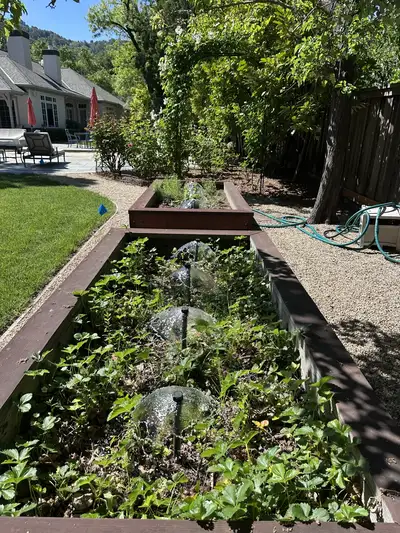 Jean Fogg Landscape project 1